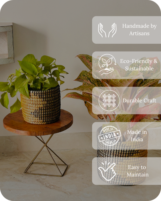 SOIL & STILLNESS (SET OF 2)