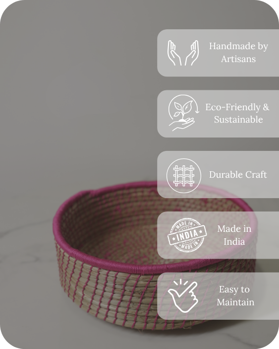 Fuchsia Flair Origin