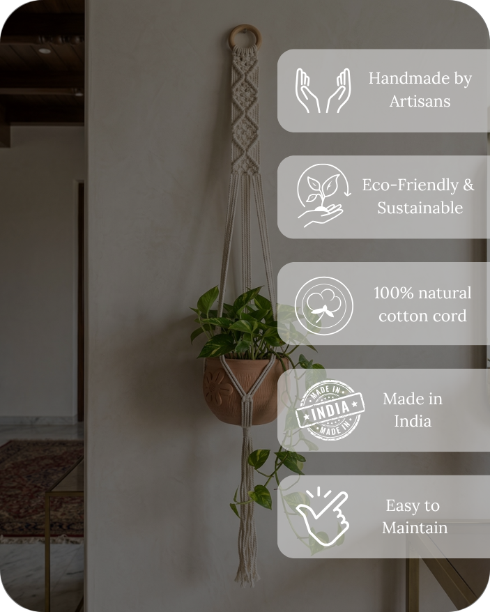 Fern- Macramé- Planter- Combo