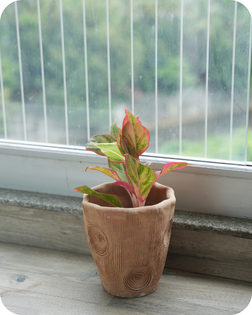 Contemporary Long Twisted