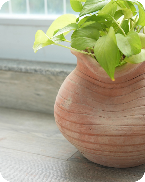 Contemporary Twisted