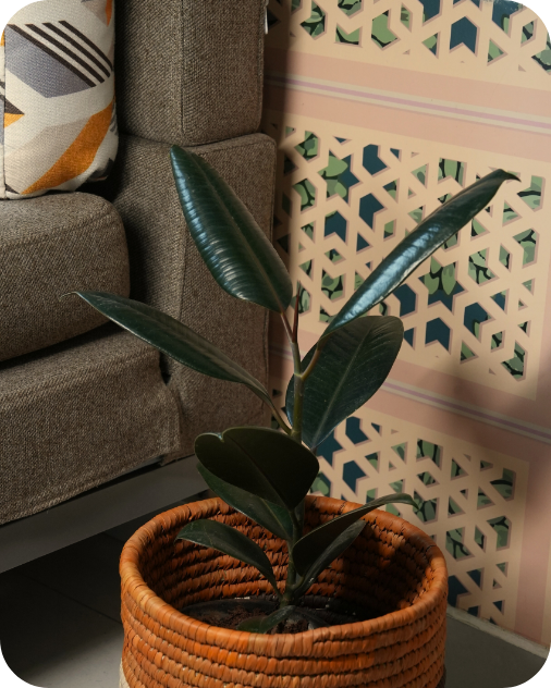 HAVEN OF HUSK ORIGIN