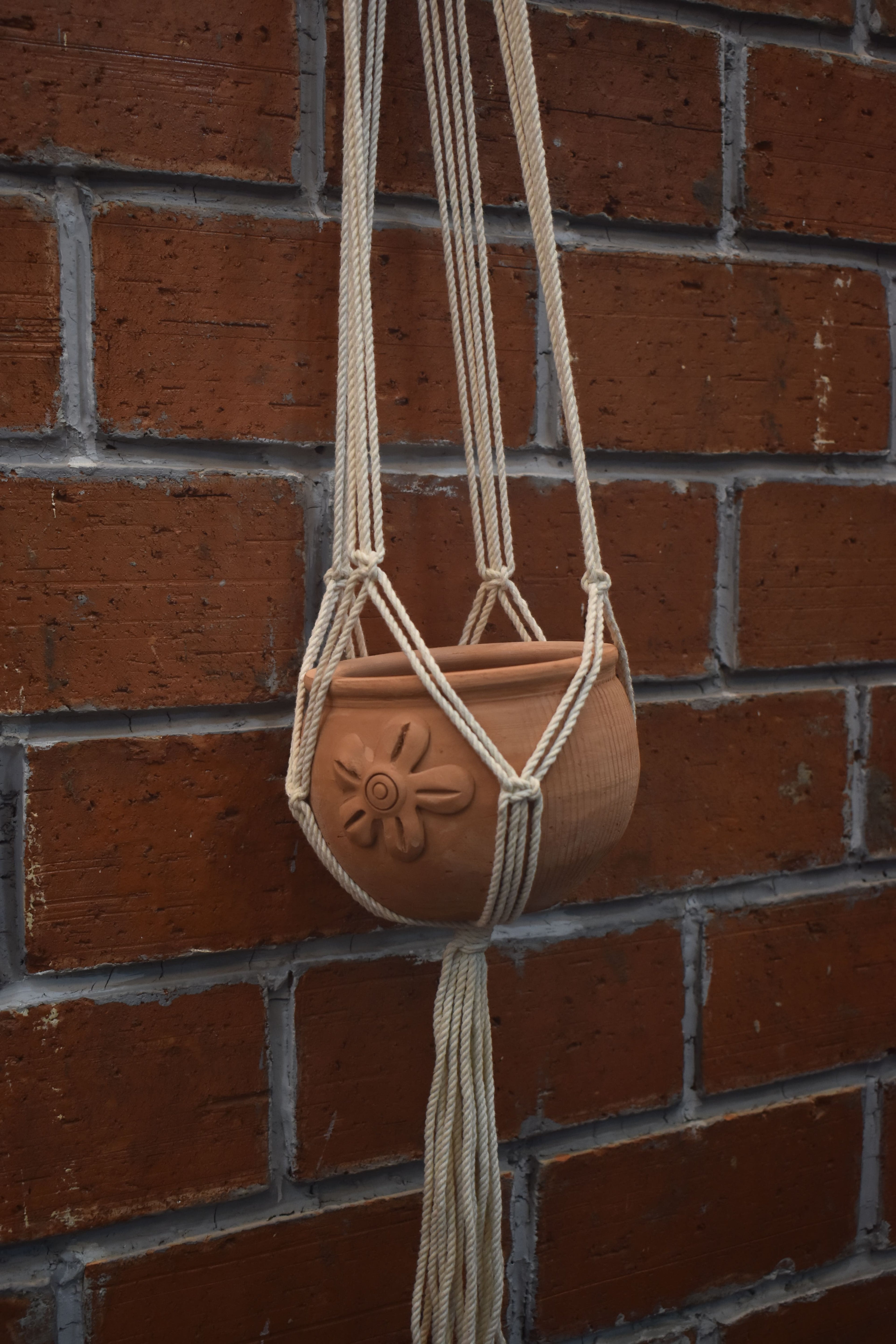 Nova-Macramé- Planter- Combo