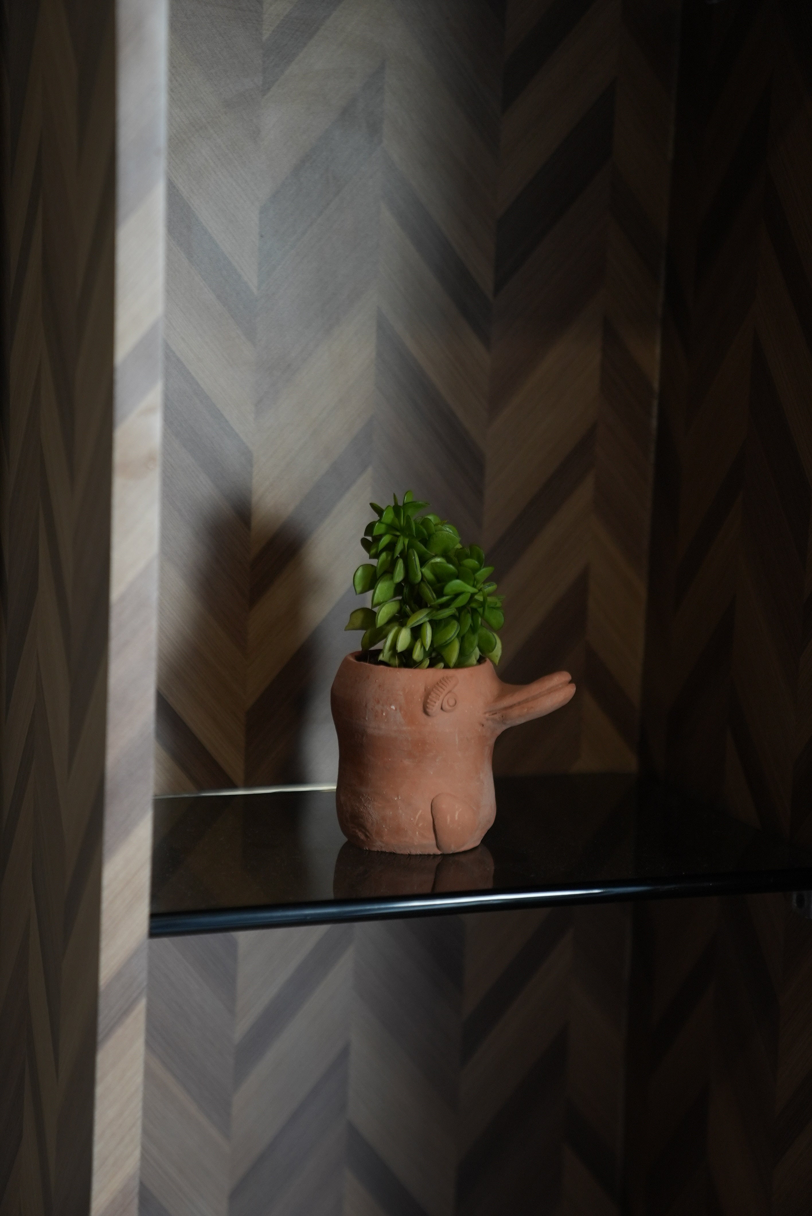 Mini Flora-Fin Dolphin