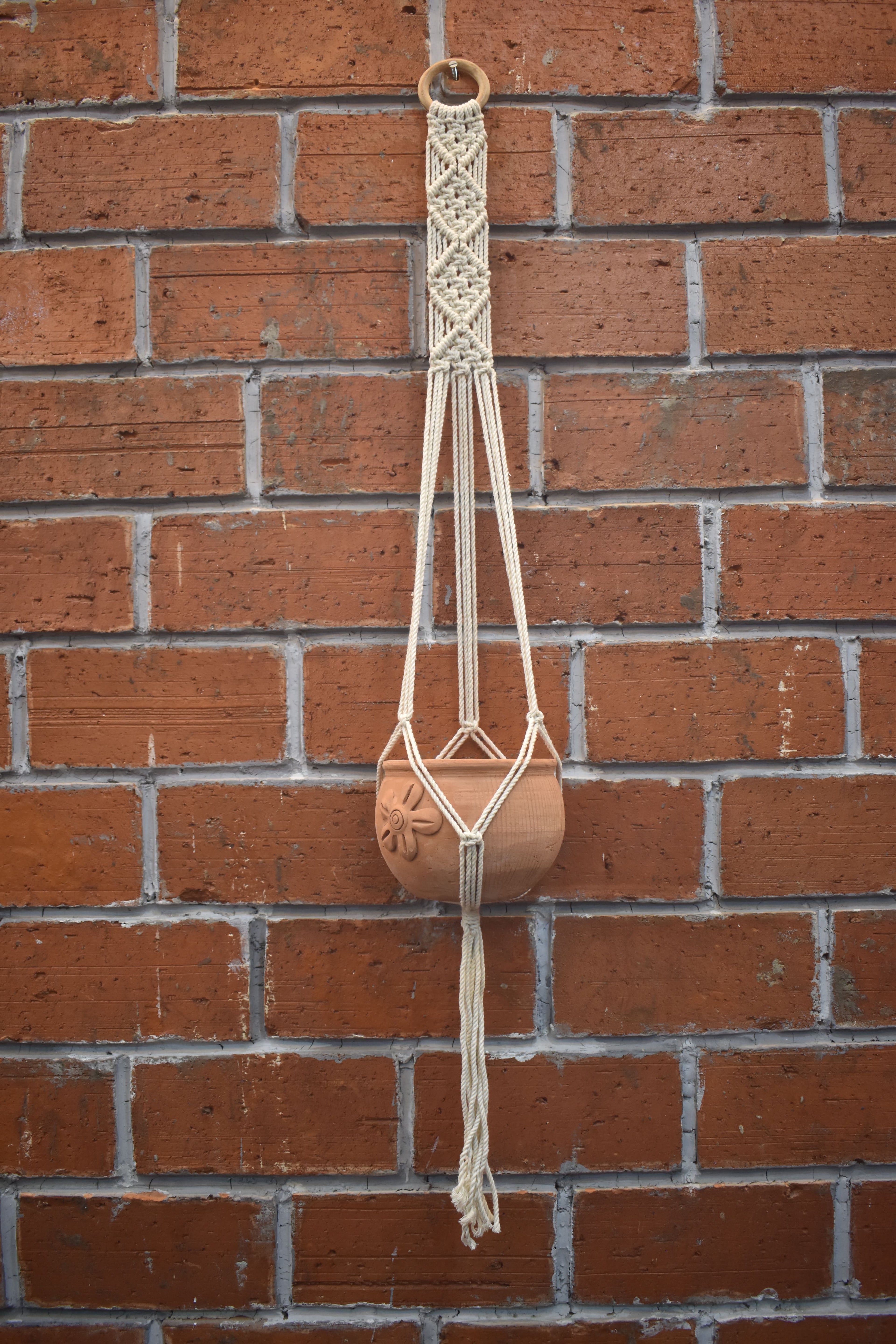 Fern- Macramé- Planter- Combo