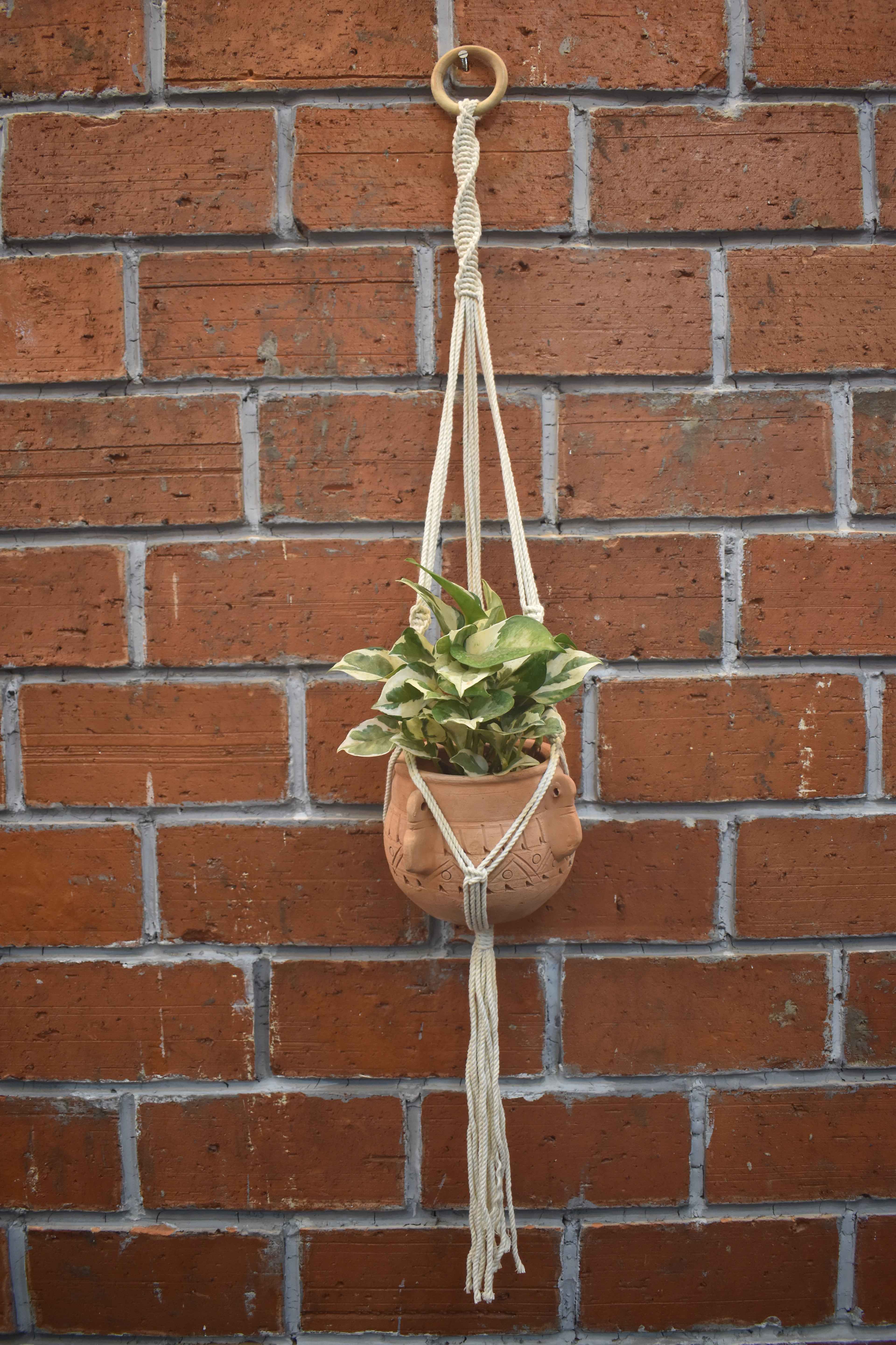 Hazel-Macramé - Planter- Combo