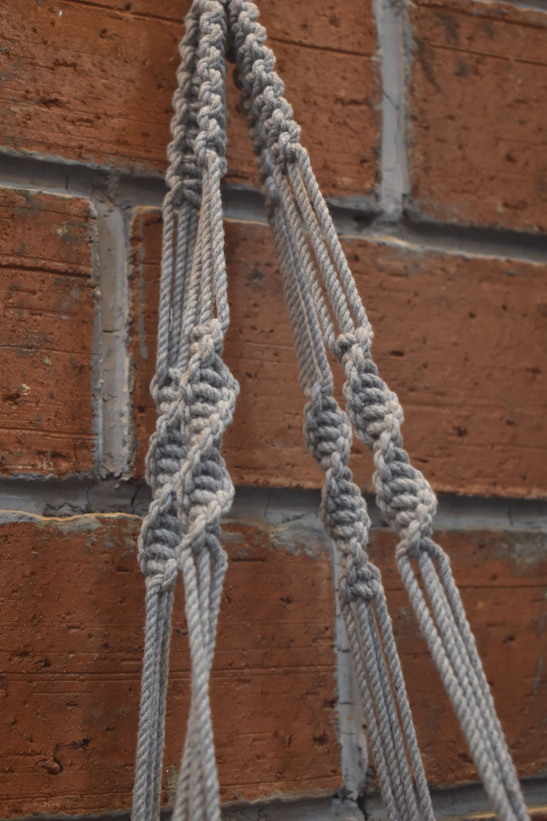 Sage-Macramé Plant Holder