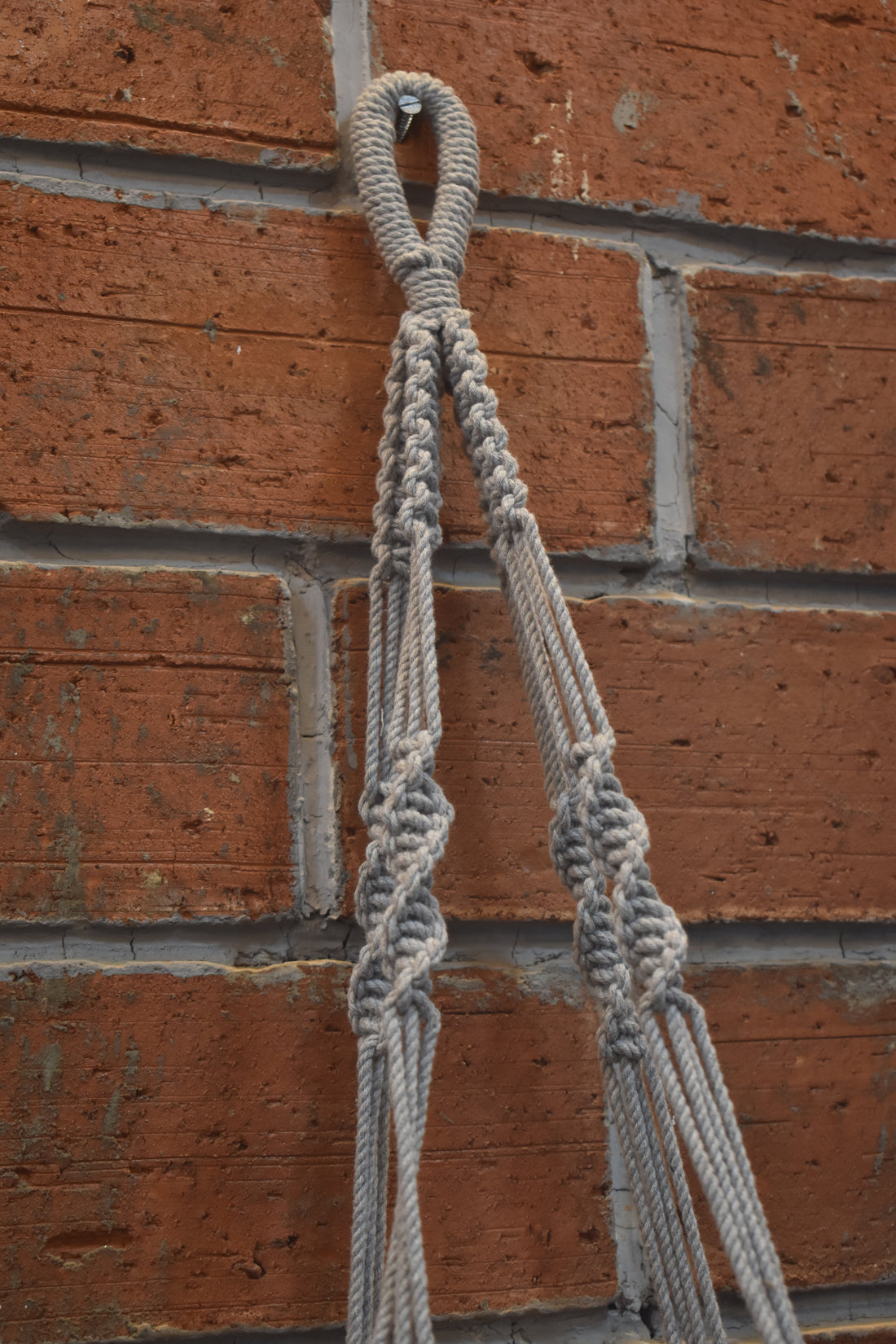 Sage-Macramé-Planter- Combo