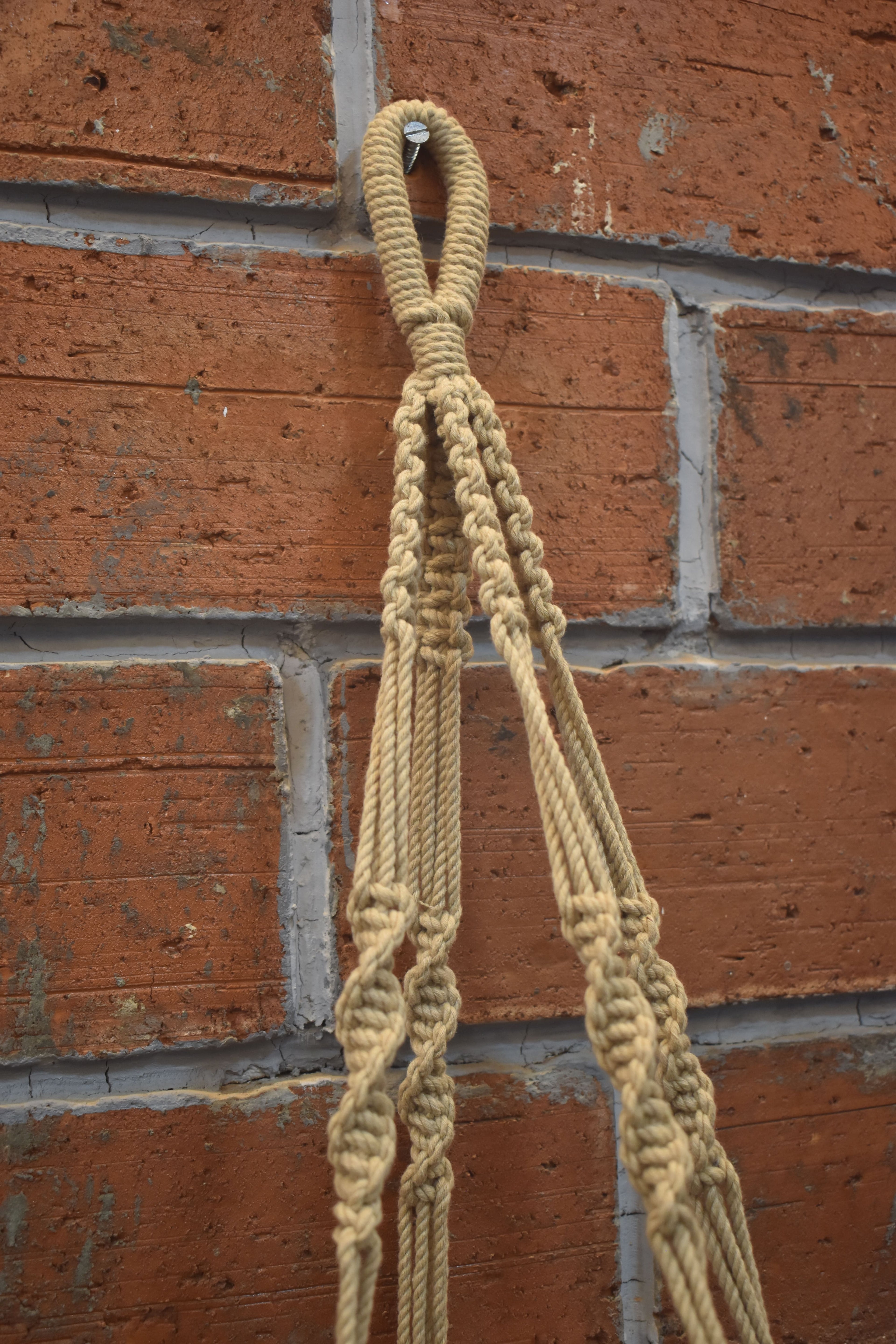 Ivy-Macramé-Planter- Combo
