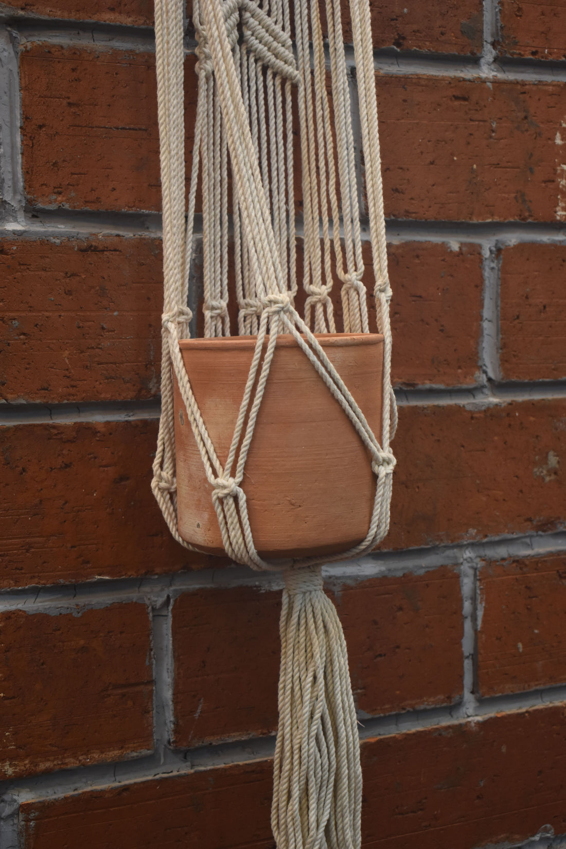 Flora-Macramé- Planter- Combo