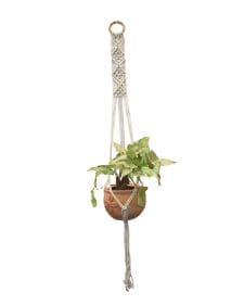 Fern-Macramé Plant Holder