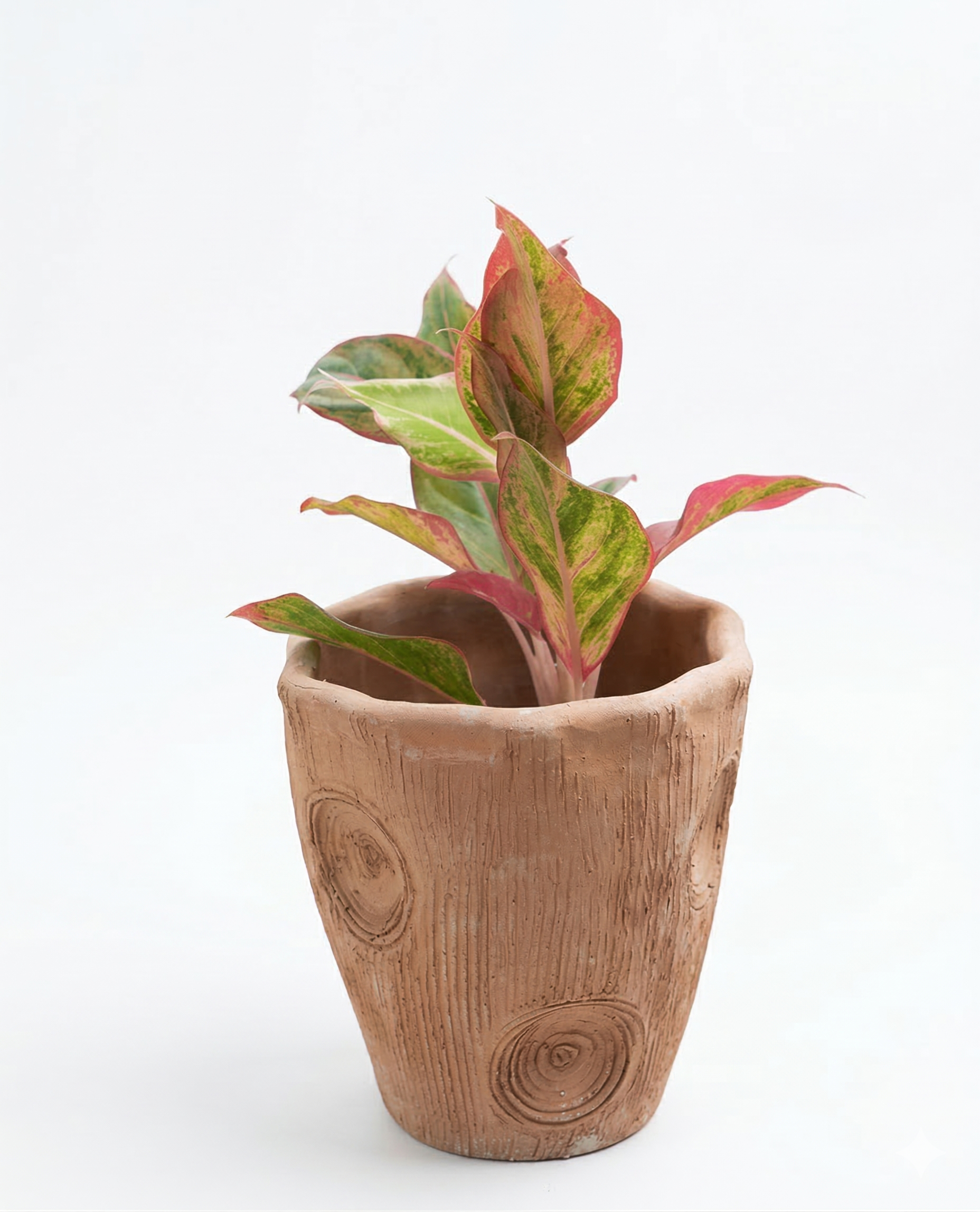 Contemporary Long Twisted