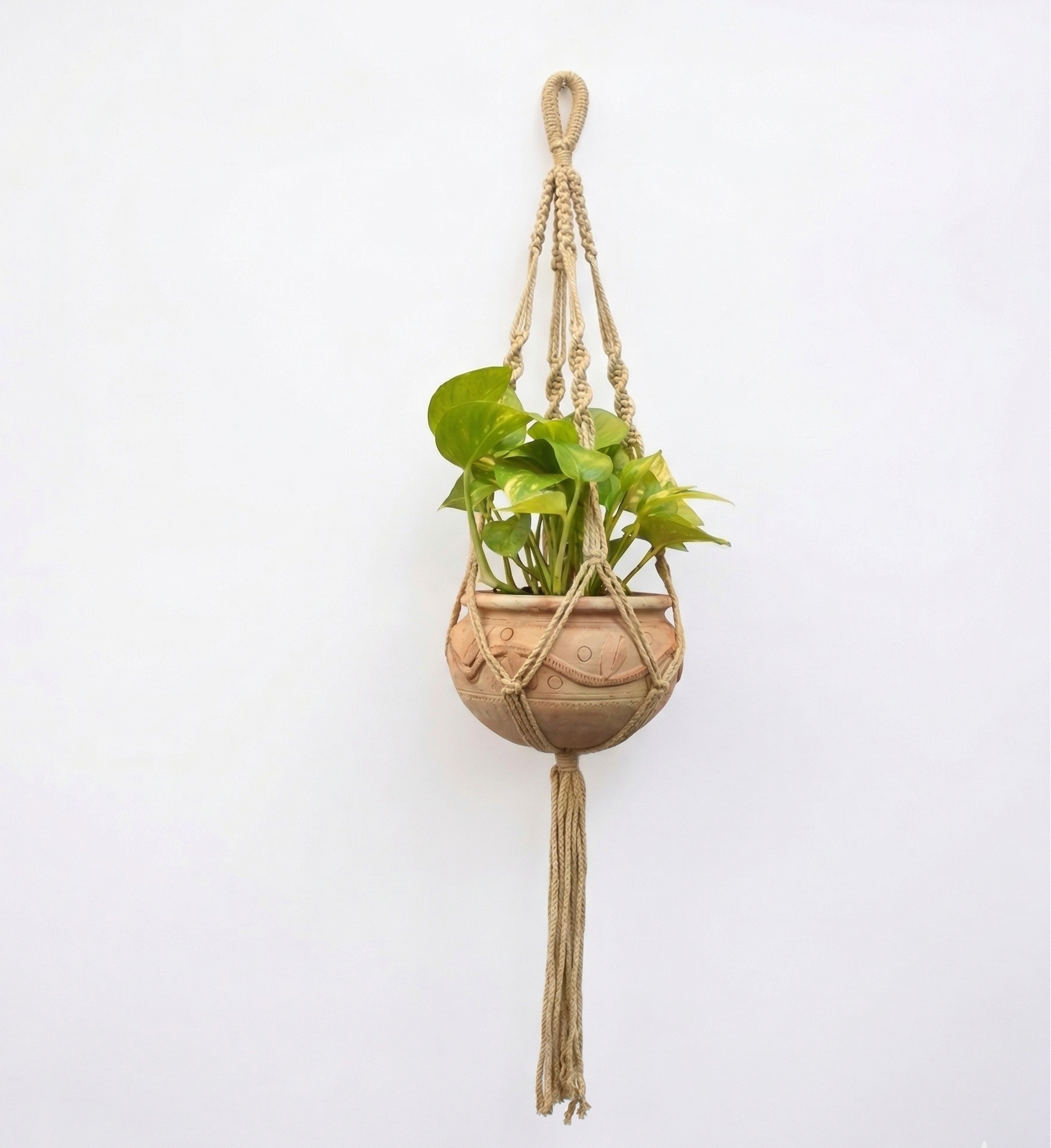 Ivy-Macramé-Planter- Combo