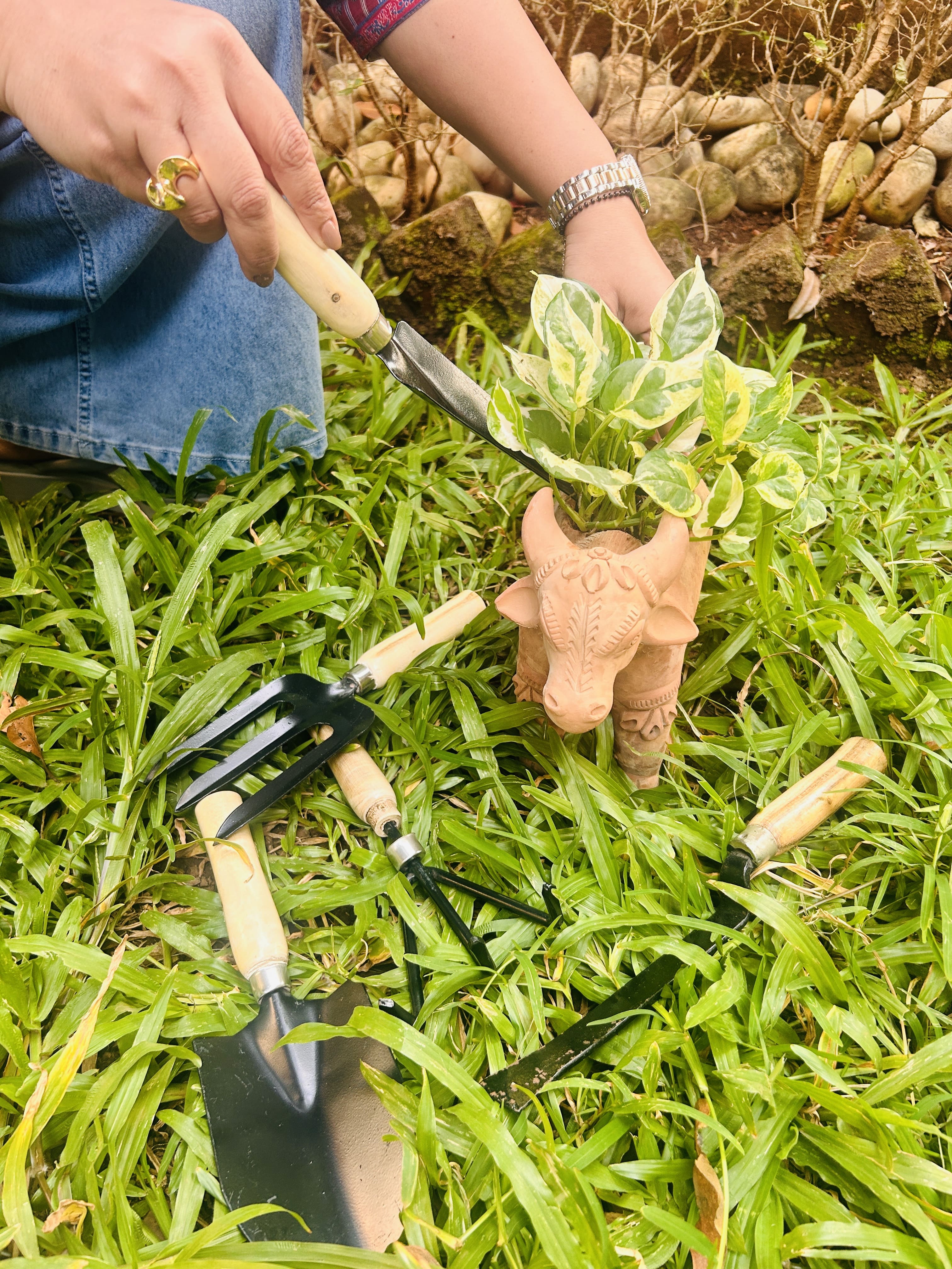 All-in-One Garden Tool Kit