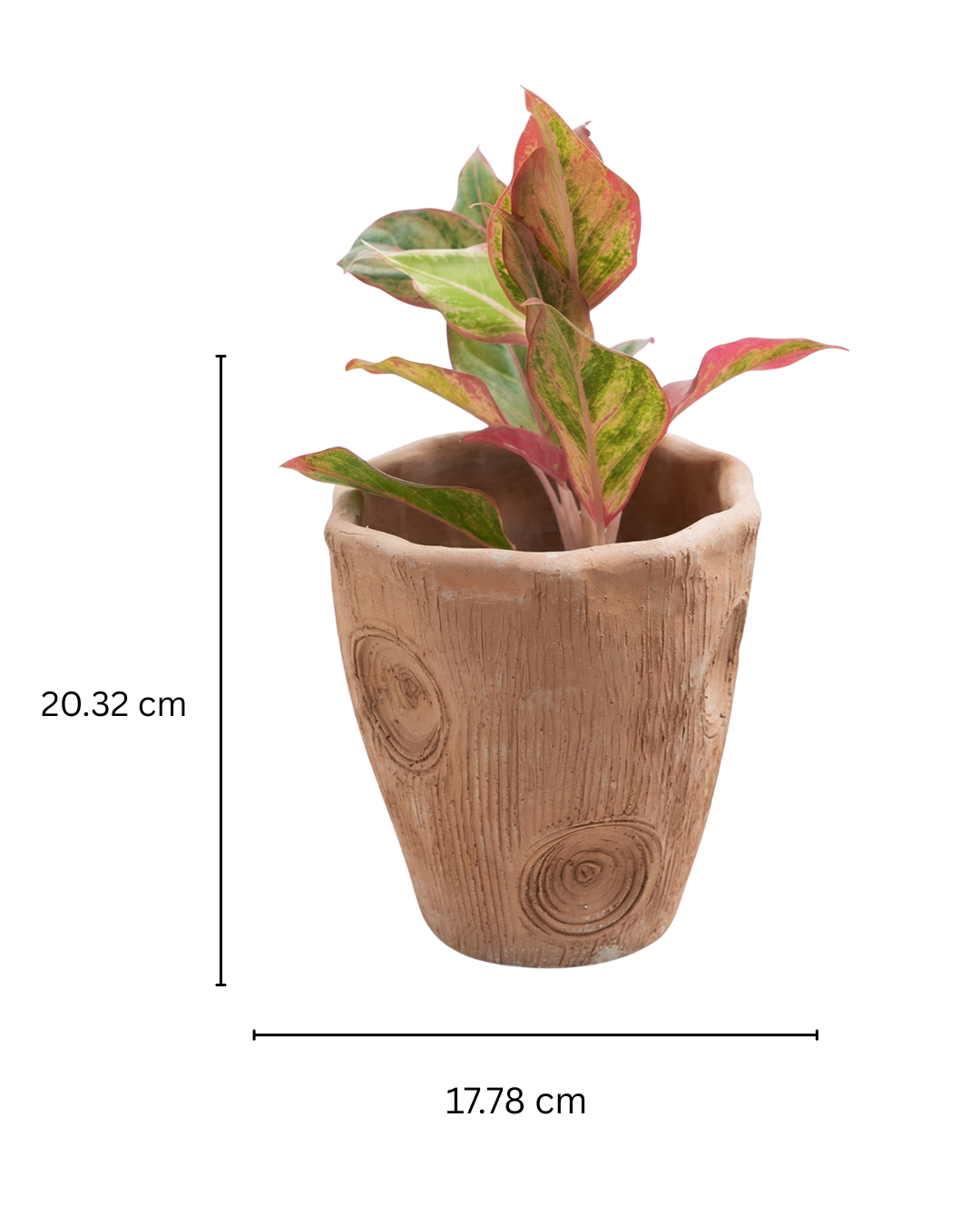 Contemporary Long Twisted