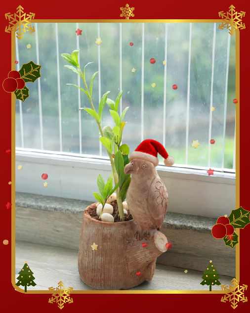 Vibrant Winged Parrot