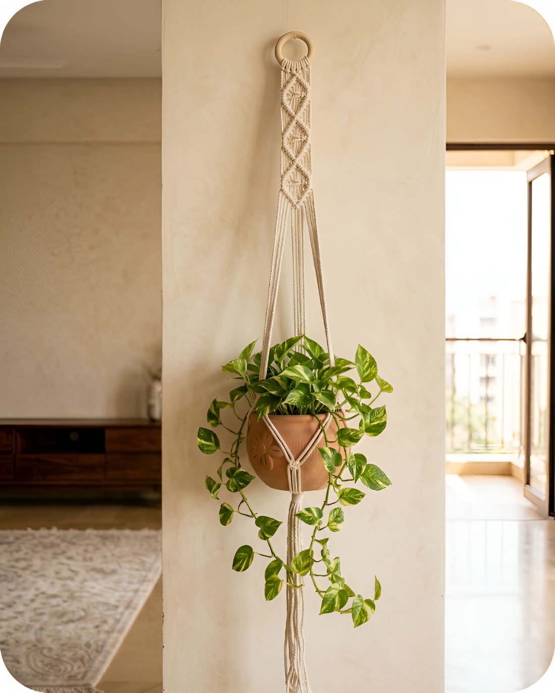 Cedar-Macramé - Planter- Combo