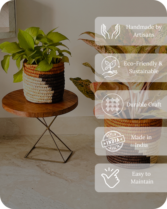 HAVEN OF HUSK  (SET OF 2)