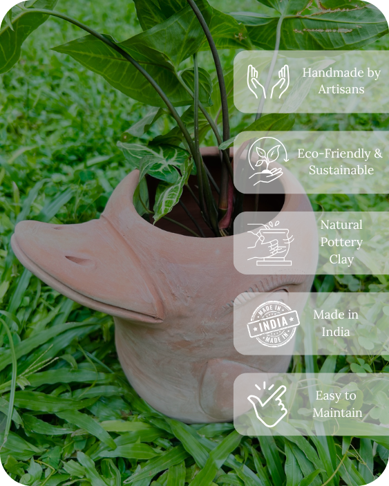 Mini Flora-Fin Dolphin