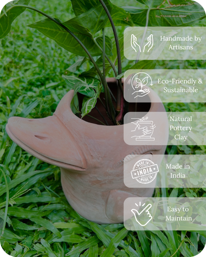 Mini Flora-Fin Dolphin