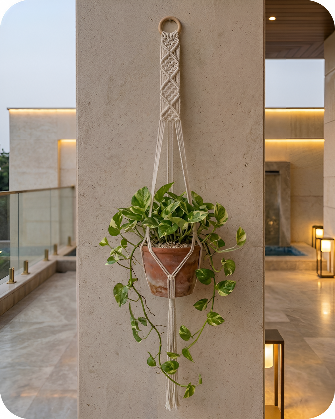 Fern-Macramé Plant Holder