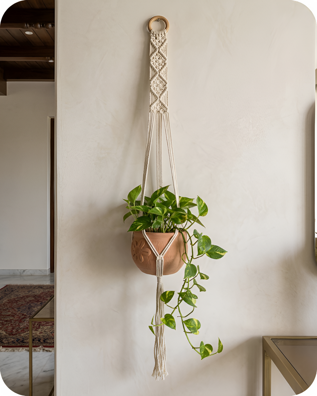 Fern- Macramé- Planter- Combo