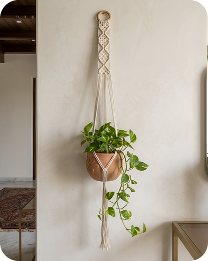 Fern- Macramé- Planter- Combo