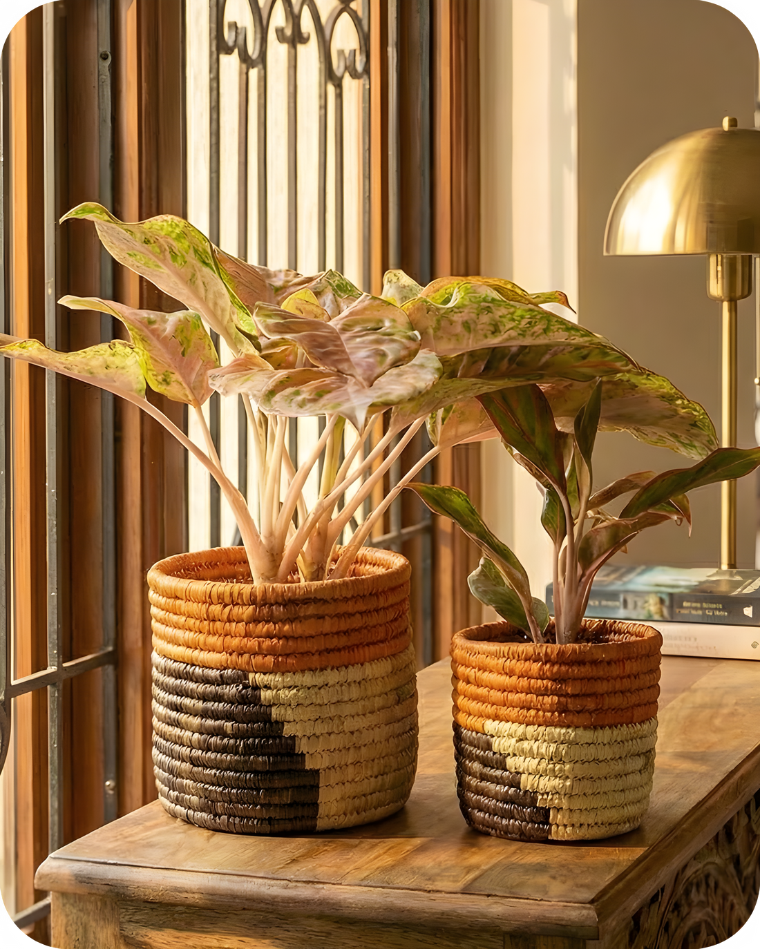 HAVEN OF HUSK  (SET OF 2)