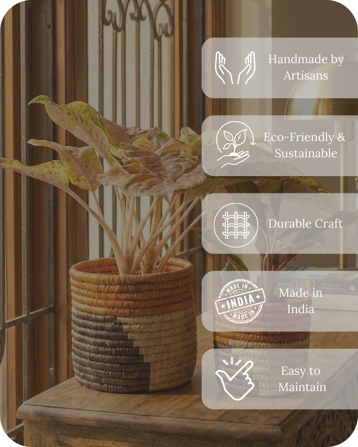 HAVEN OF HUSK  (SET OF 2)