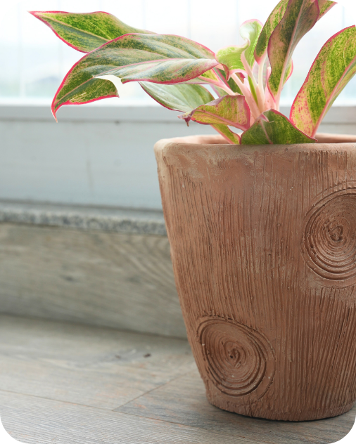 Contemporary Long  Twisted