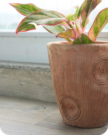 Contemporary Long  Twisted