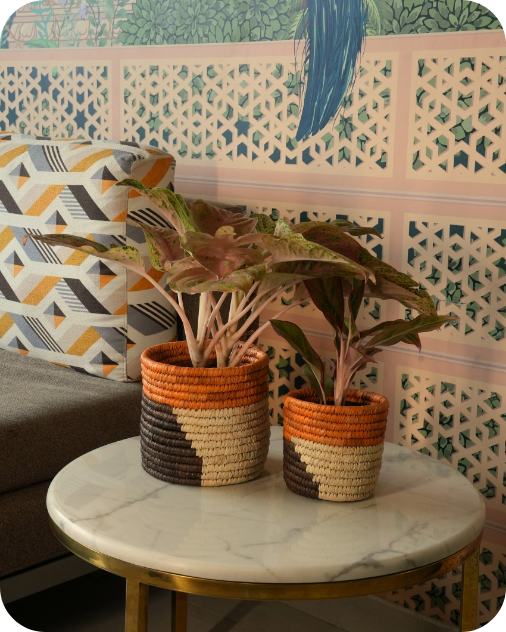 HAVEN OF HUSK  (SET OF 2)