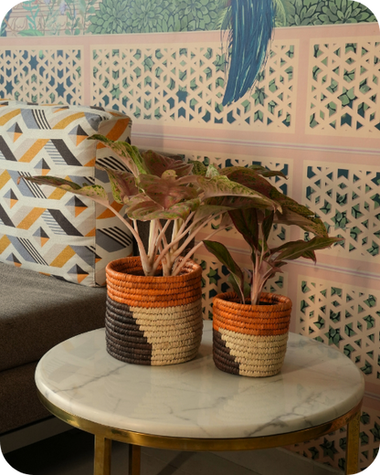 HAVEN OF HUSK  (SET OF 2)