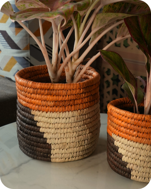 HAVEN OF HUSK  (SET OF 2)