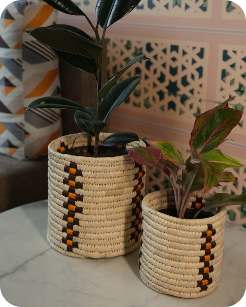 WOVEN ROOTS (SET OF 2)