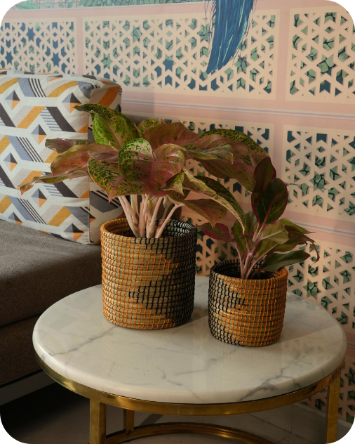 SOIL &amp; STILLNESS (SET OF 2)