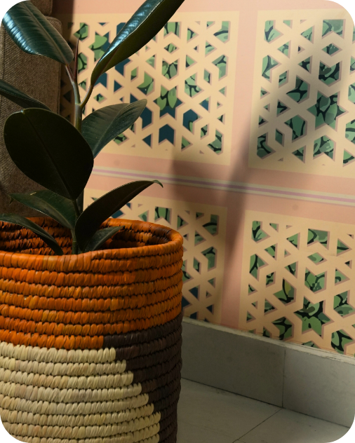 HAVEN OF HUSK ORIGIN