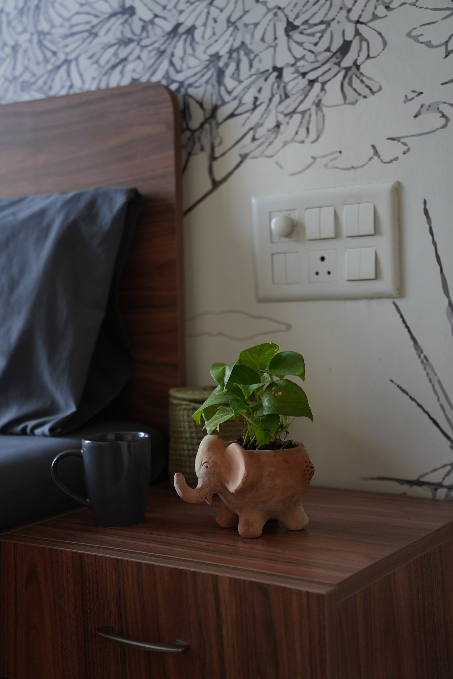 Gifting Desk Planters