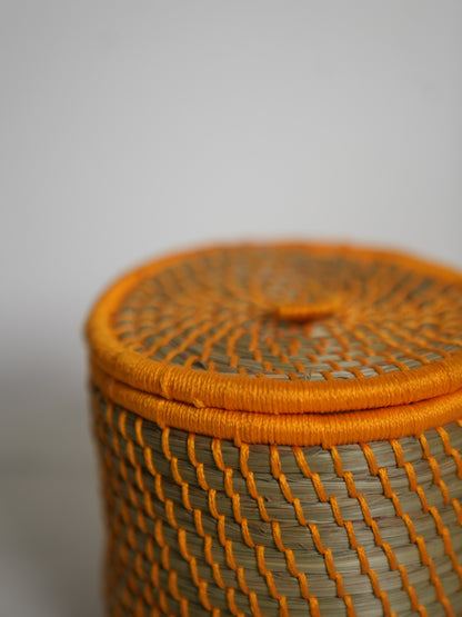 Amber Nest
