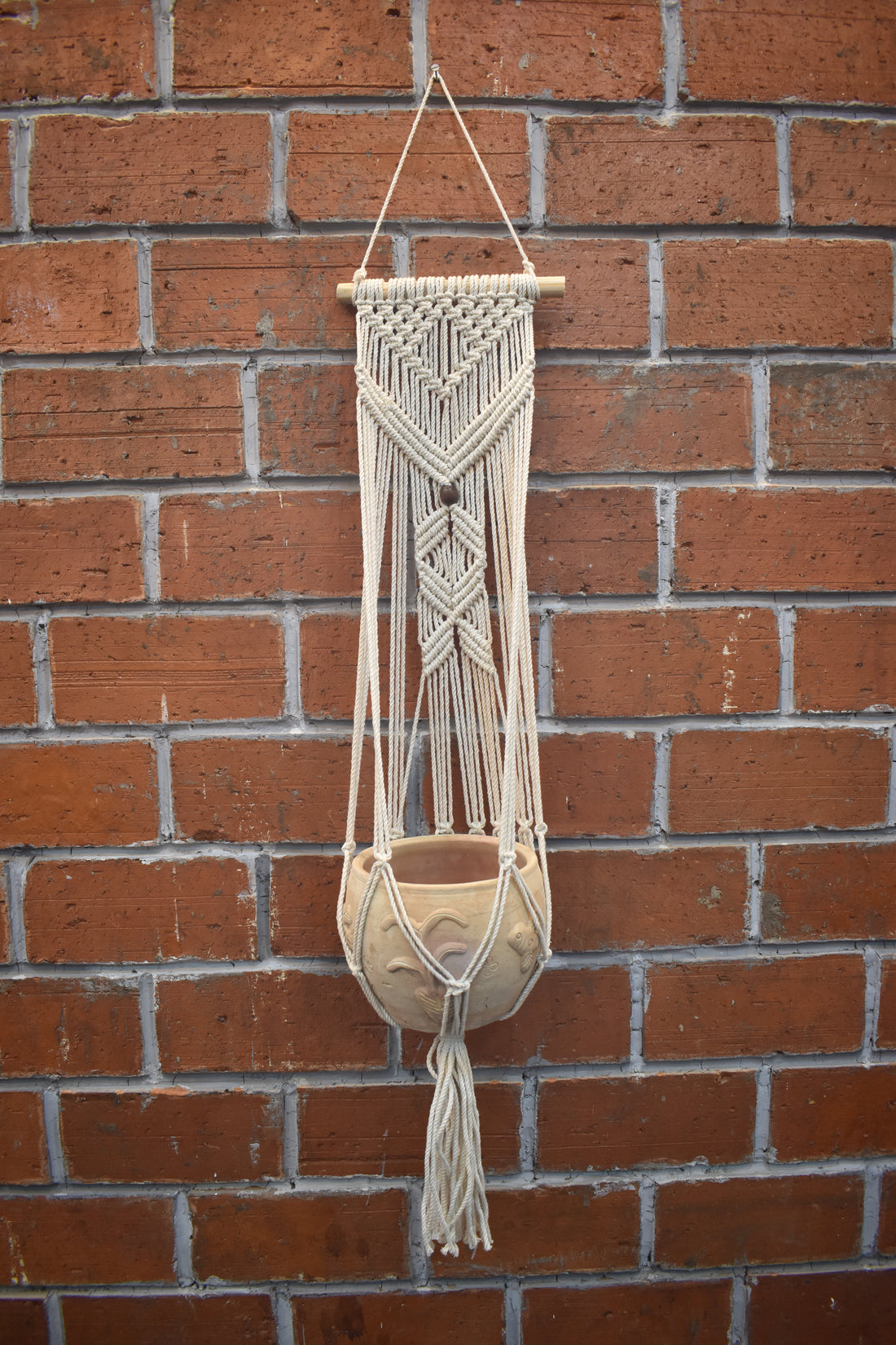Flora-Macramé Plant Holder