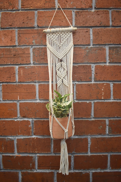 Flora-Macramé- Planter- Combo