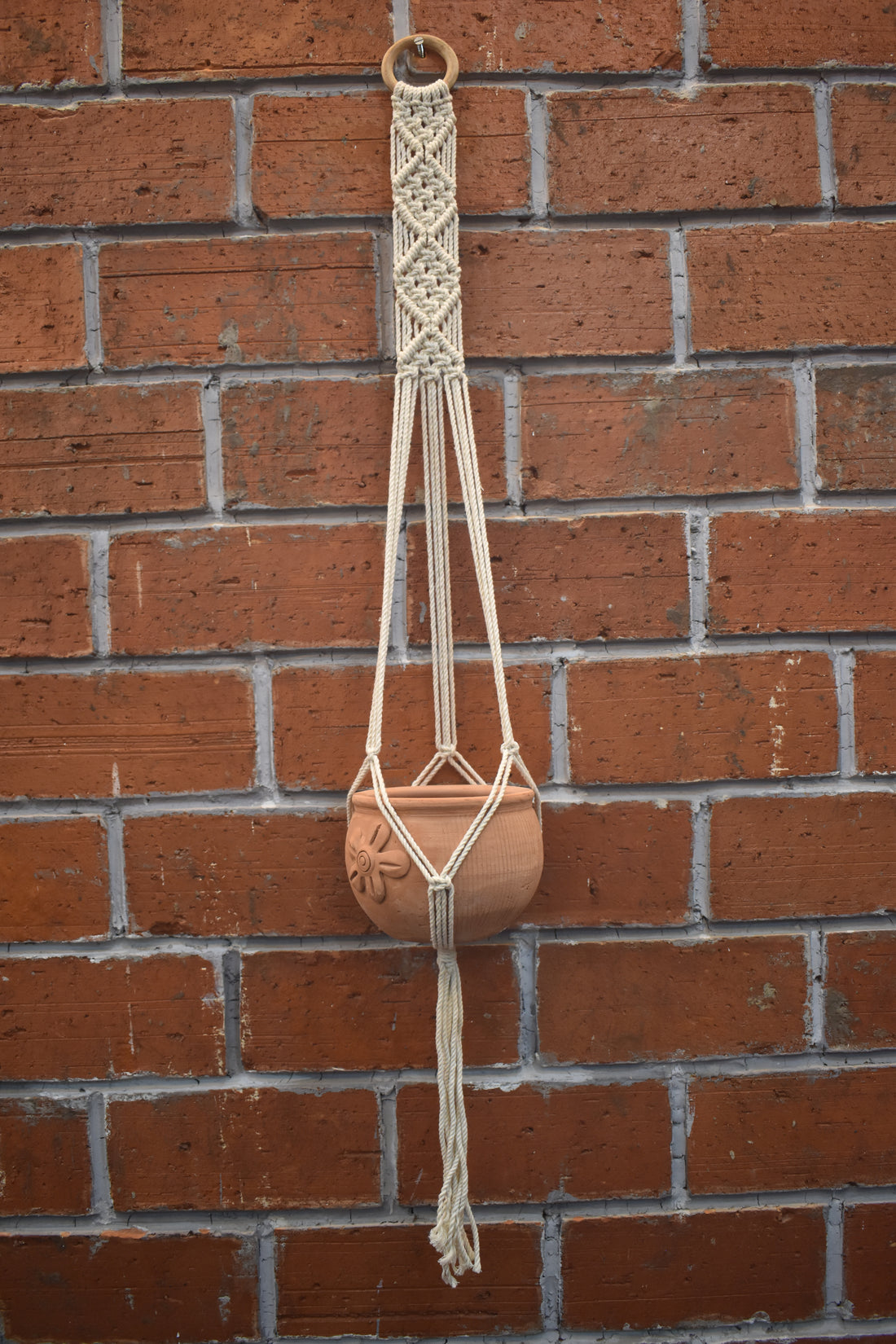 Fern-Macramé Plant Holder