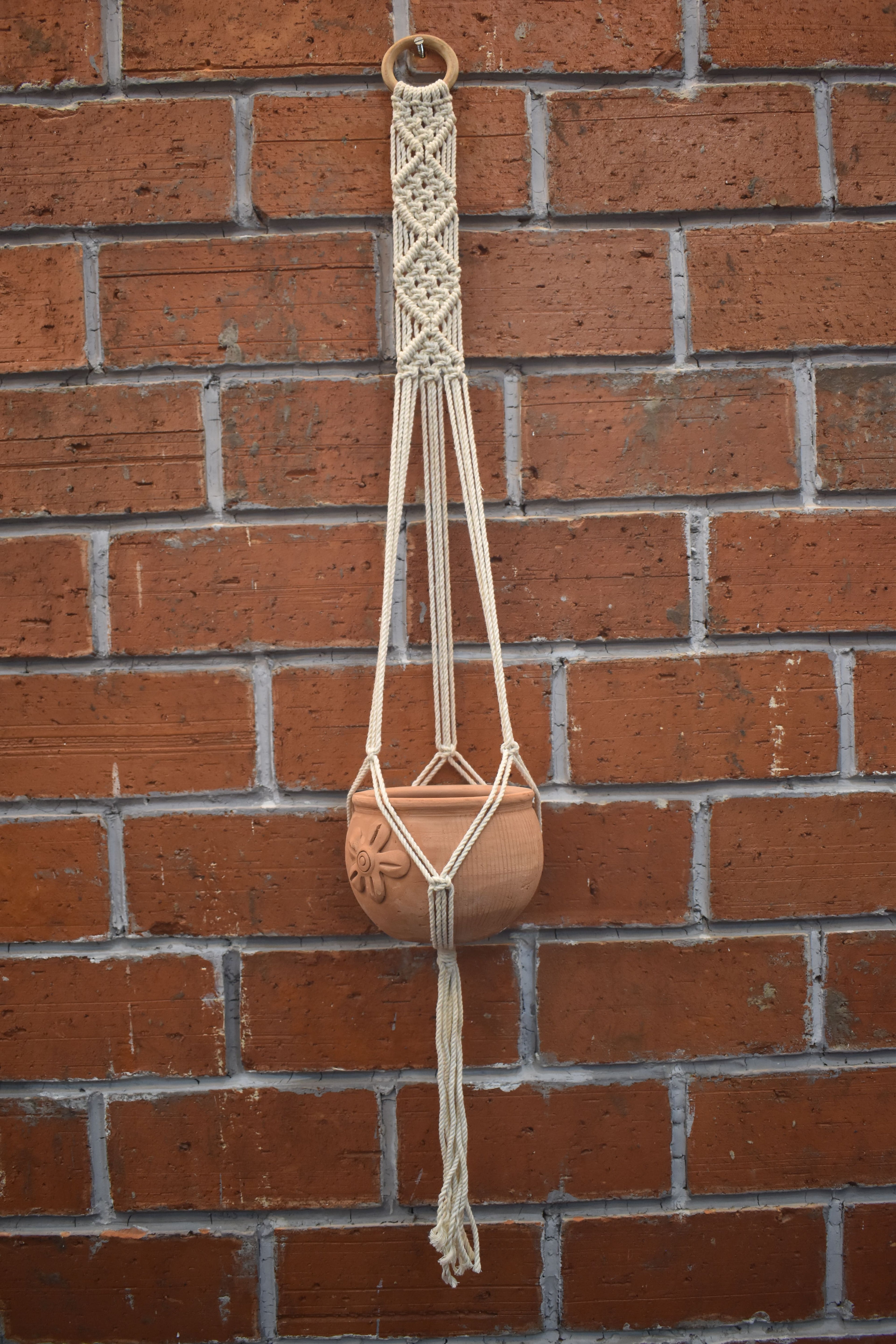 Fern-Macramé Plant Holder