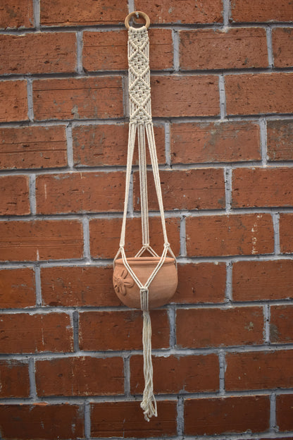 Fern-Macramé Plant Holder