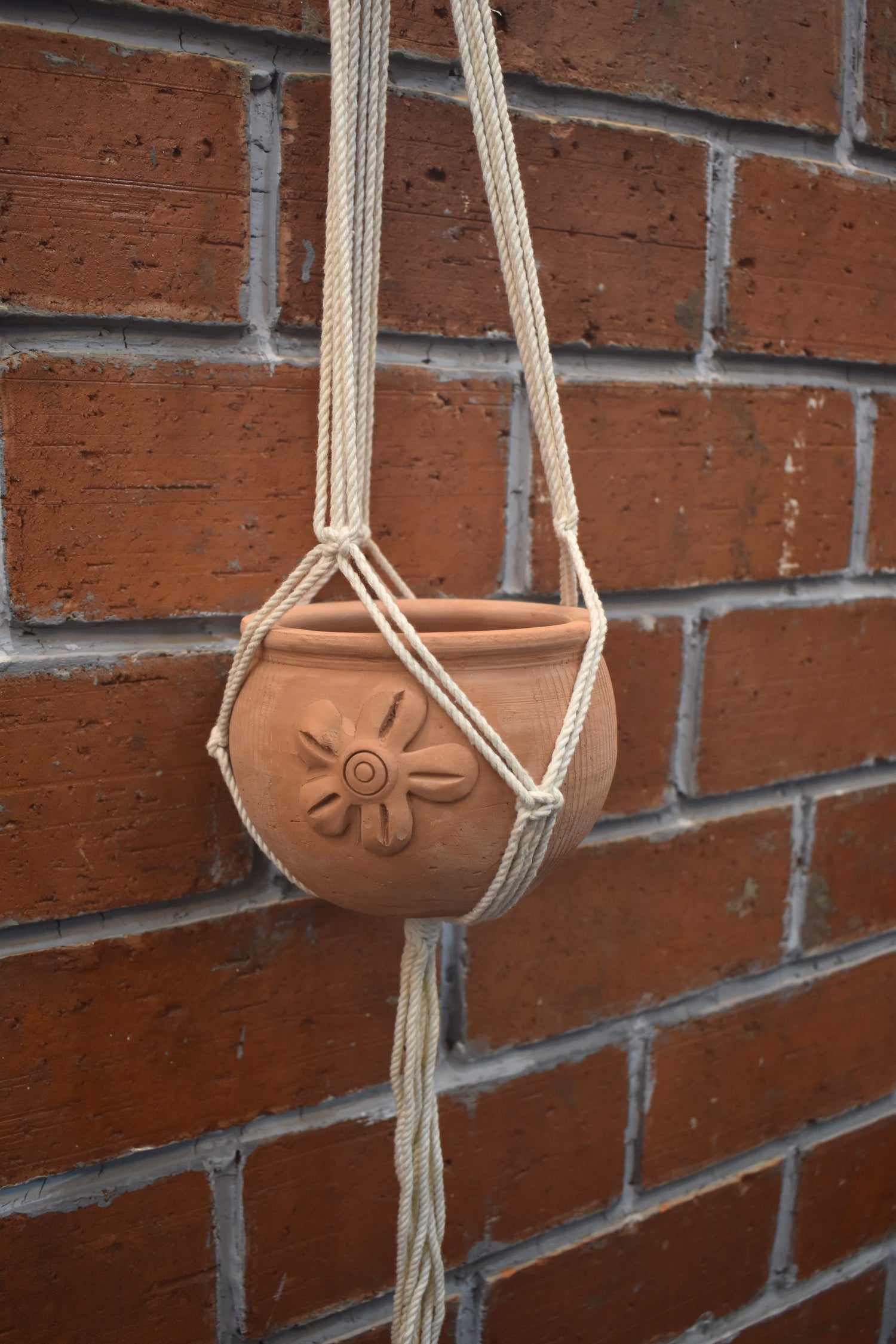 Fern- Macramé -Planter -Combo