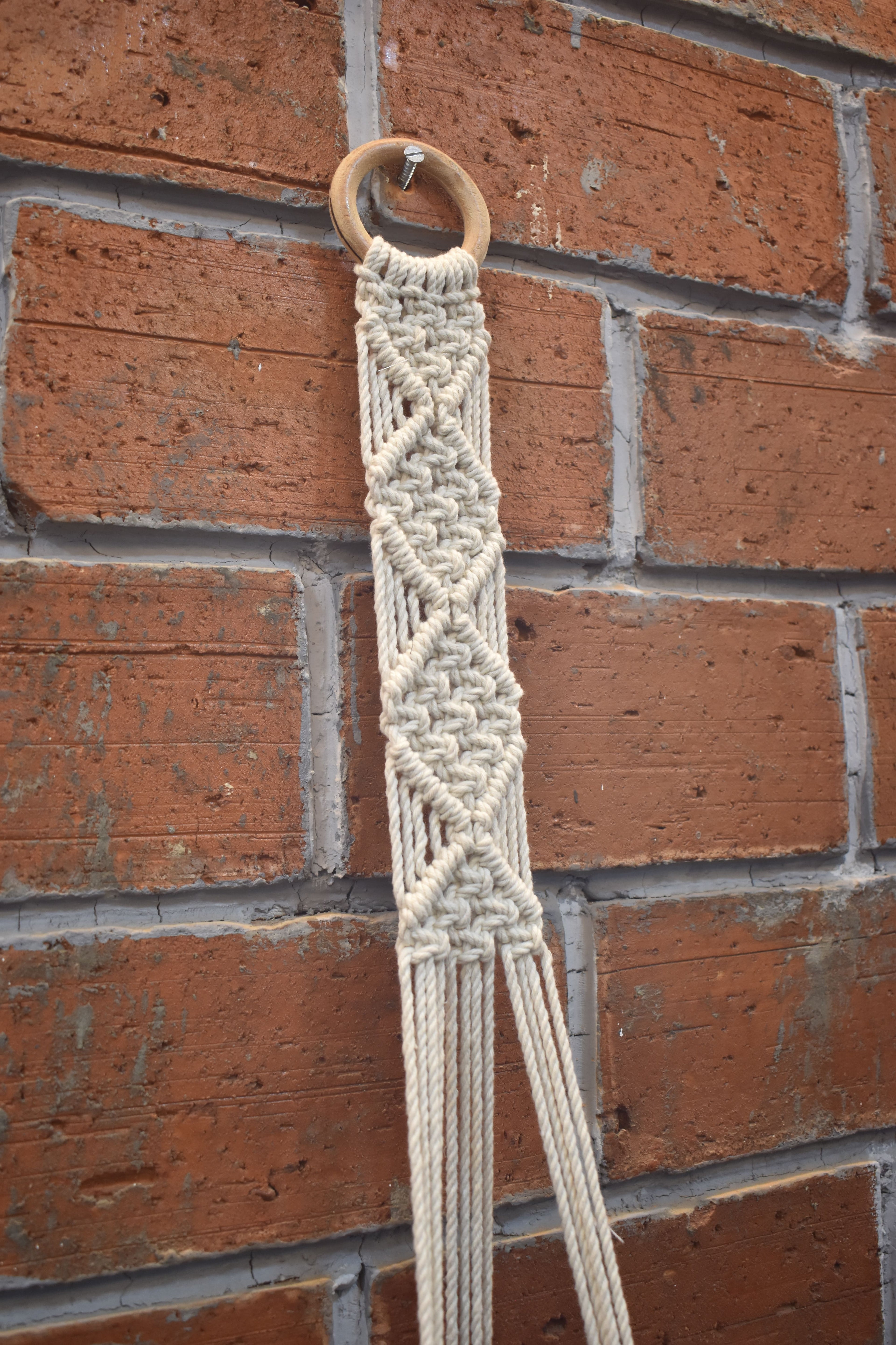 Fern-Macramé Plant Holder