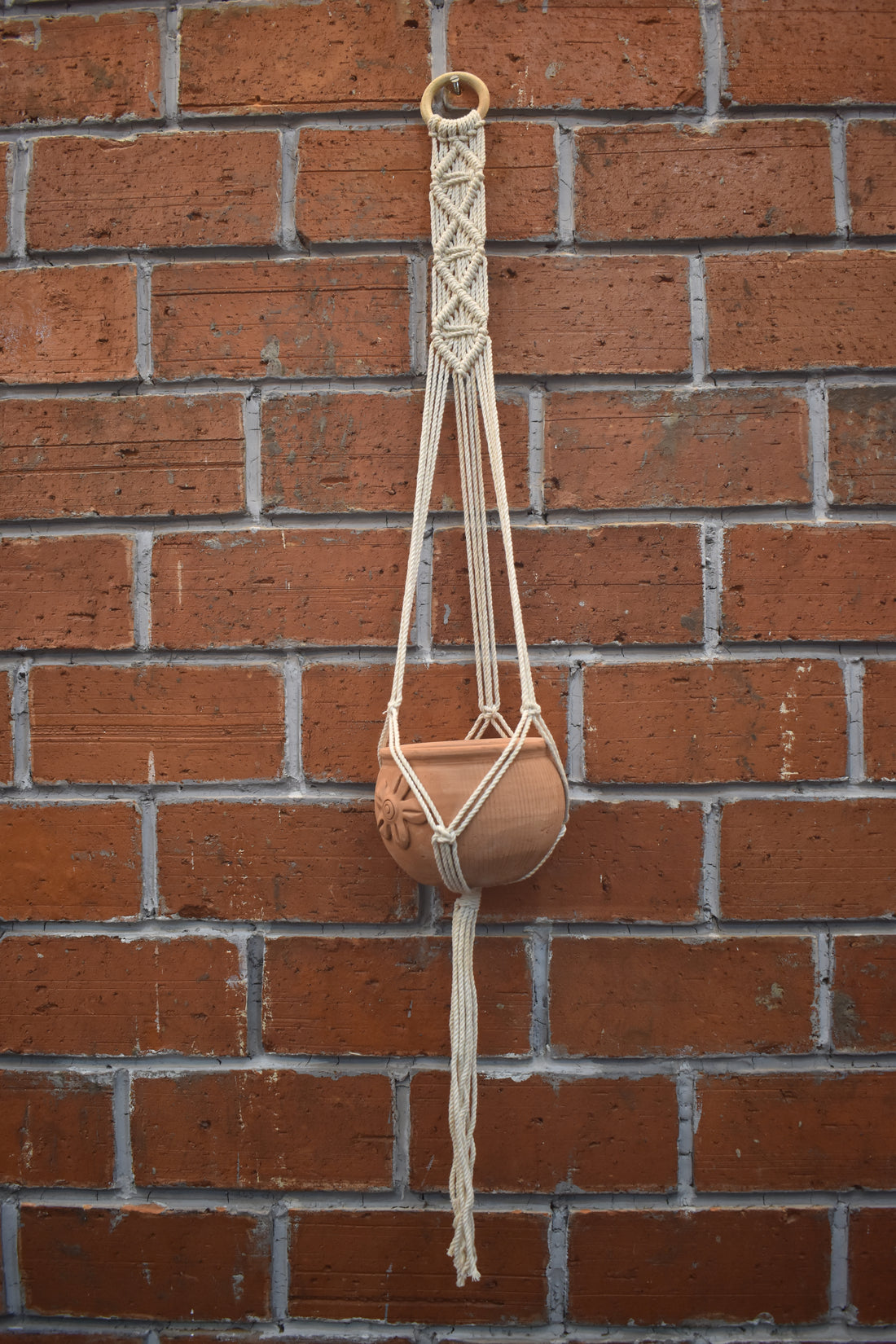 Cedar-Macramé Plant Holder