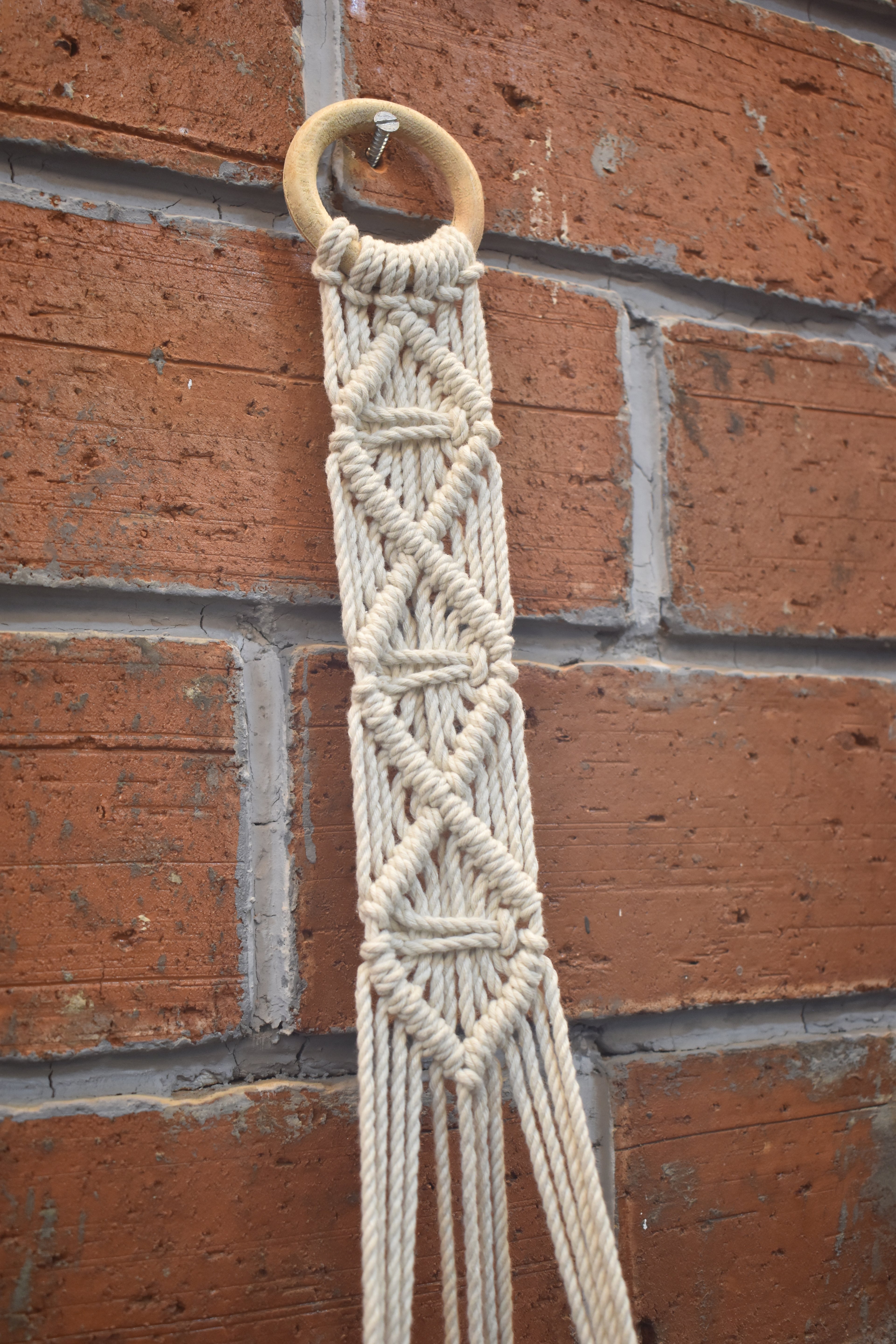 Cedar-Macramé Plant Holder