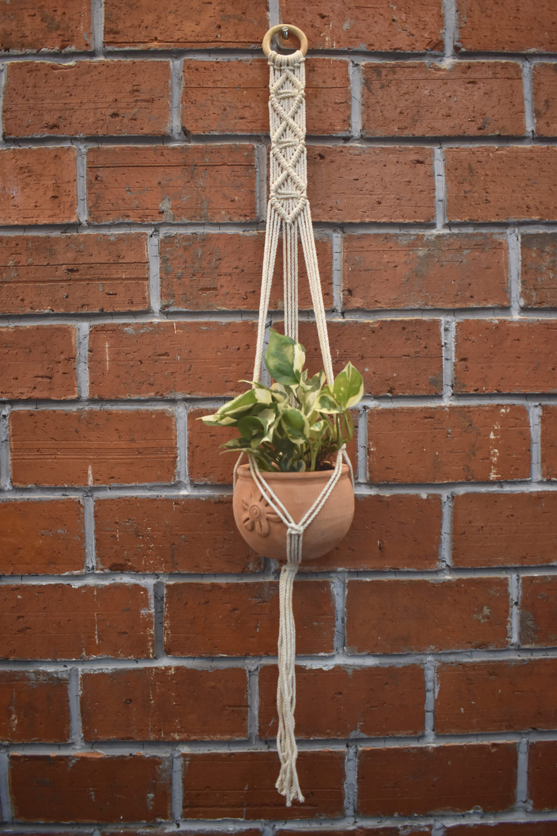 Cedar-Macramé - Planter- Combo
