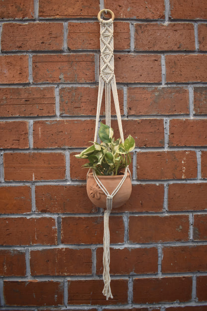 Cedar-Macramé - Planter- Combo
